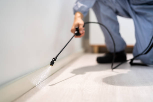 Licensed Cockroach Control service in Valley County County, ID - Nex Pest Control