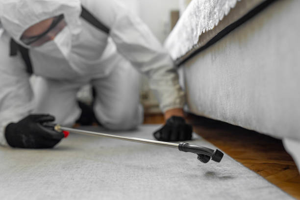 Professional Cockroach Control technician working in Valley County County, ID